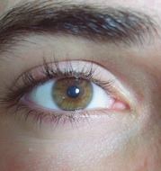 Be seen